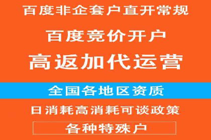 谷歌SEM广告策略：某电商平台的成功逆袭案例